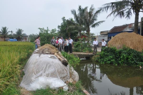 Chế biến phân hữu cơ từ phế phụ phẩm nông nghiệp